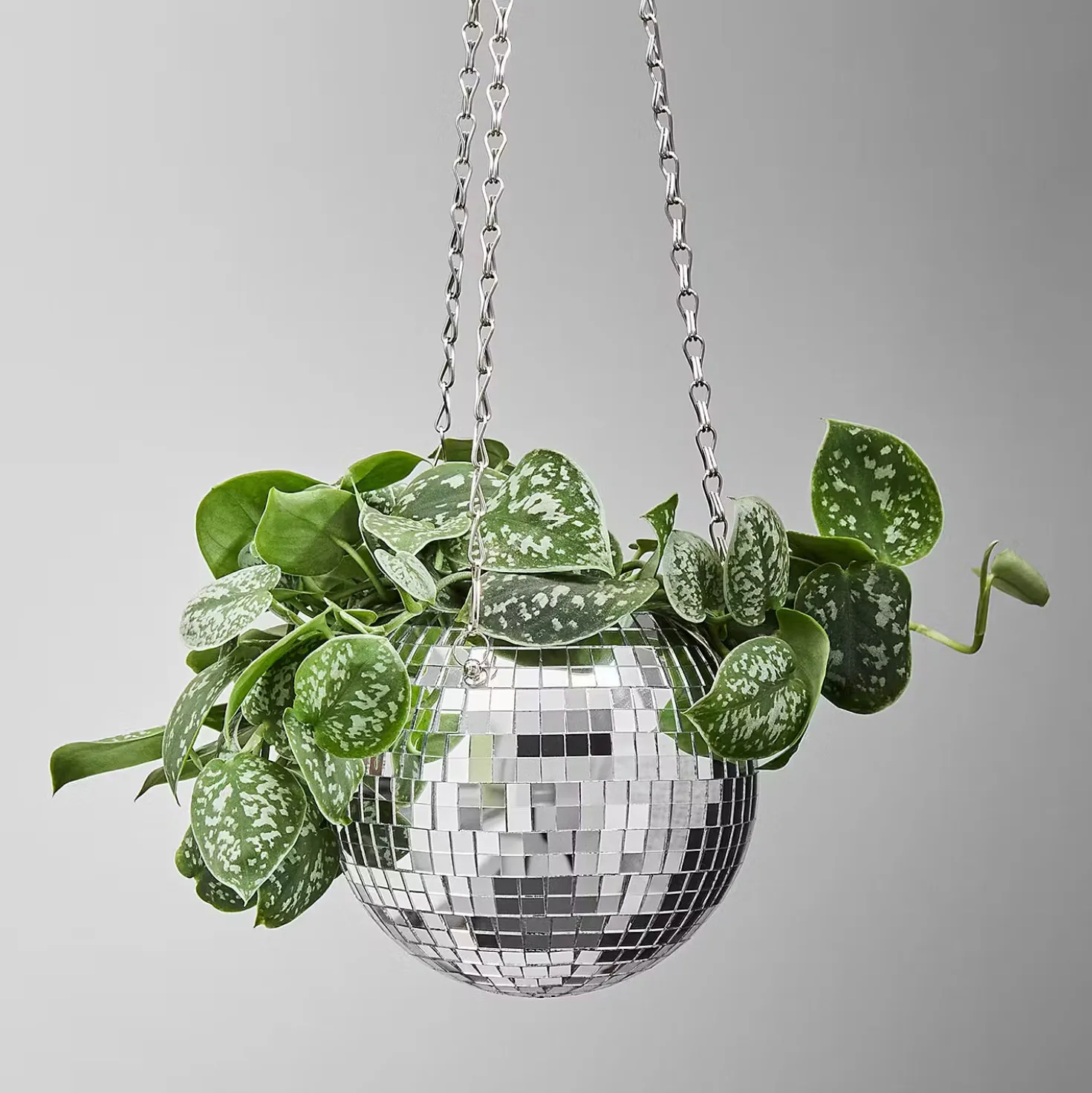 DISCO Blumenübertopf zum Hängen