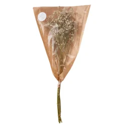 FLOWER MARKET Trockenblume Schleierkraut